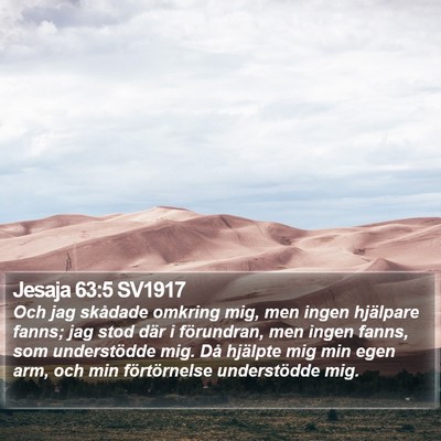 Jesaja 63:5 SV1917 Bible Verse Image