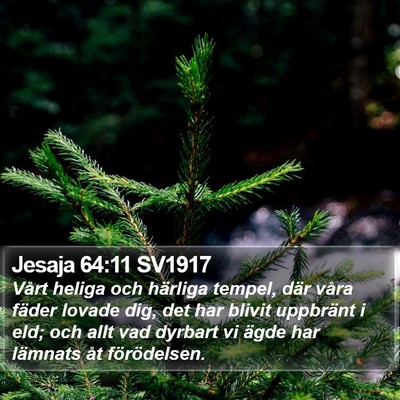 Jesaja 64:11 SV1917 Bible Verse Image