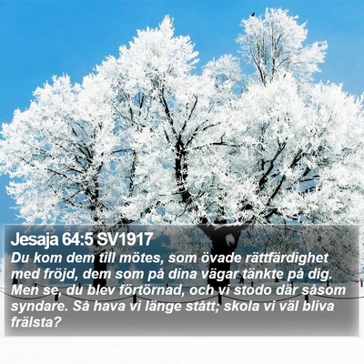 Jesaja 64:5 SV1917 Bible Verse Image