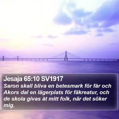 Jesaja 65:10 SV1917 Bible Verse Image