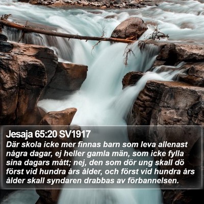 Jesaja 65:20 SV1917 Bible Verse Image
