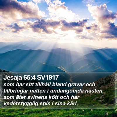 Jesaja 65:4 SV1917 Bible Verse Image