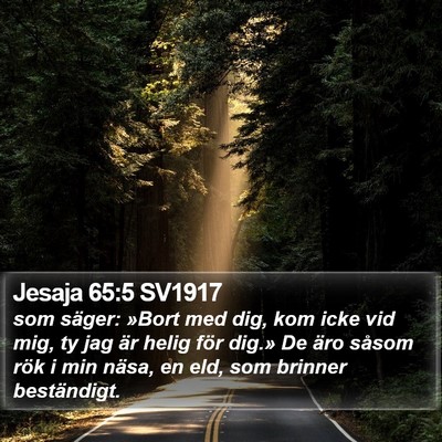 Jesaja 65:5 SV1917 Bible Verse Image