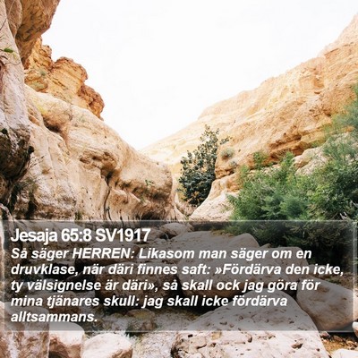 Jesaja 65:8 SV1917 Bible Verse Image