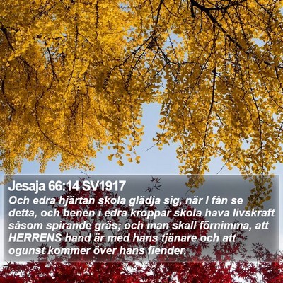 Jesaja 66:14 SV1917 Bible Verse Image