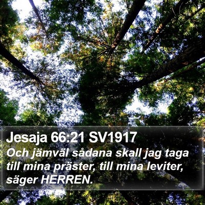 Jesaja 66:21 SV1917 Bible Verse Image