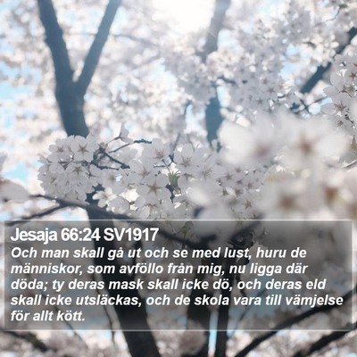 Jesaja 66:24 SV1917 Bible Verse Image