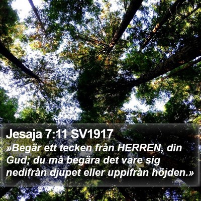 Jesaja 7:11 SV1917 Bible Verse Image