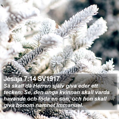 Jesaja 7:14 SV1917 Bible Verse Image