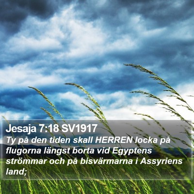 Jesaja 7:18 SV1917 Bible Verse Image