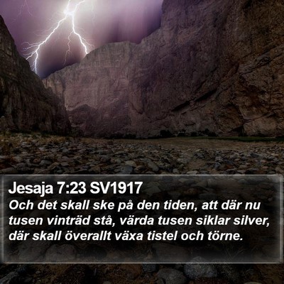 Jesaja 7:23 SV1917 Bible Verse Image