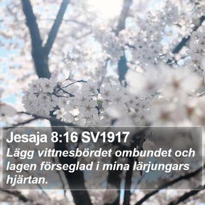 Jesaja 8:16 SV1917 Bible Verse Image