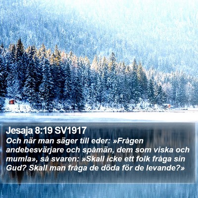 Jesaja 8:19 SV1917 Bible Verse Image