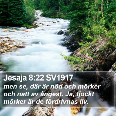 Jesaja 8:22 SV1917 Bible Verse Image