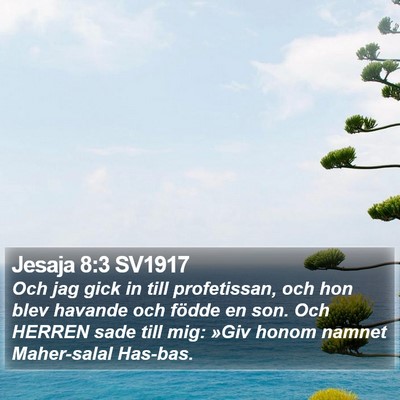 Jesaja 8:3 SV1917 Bible Verse Image