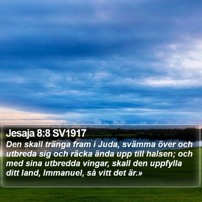 Jesaja 8:8 SV1917 Bible Verse Image