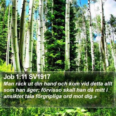Job 1:11 SV1917 Bible Verse Image
