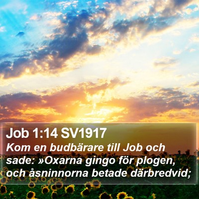 Job 1:14 SV1917 Bible Verse Image