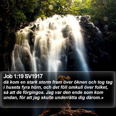Job 1:19 SV1917 Bible Verse Image