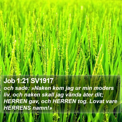 Job 1:21 SV1917 Bible Verse Image