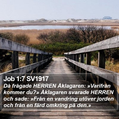 Job 1:7 SV1917 Bible Verse Image