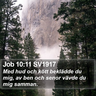 Job 10:11 SV1917 Bible Verse Image
