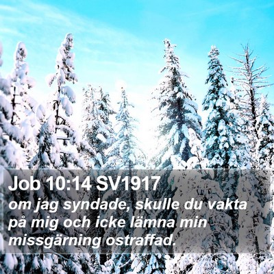 Job 10:14 SV1917 Bible Verse Image