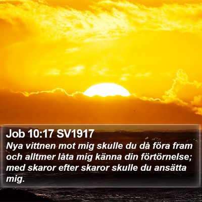 Job 10:17 SV1917 Bible Verse Image