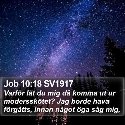 Job 10:18 SV1917 Bible Verse Image