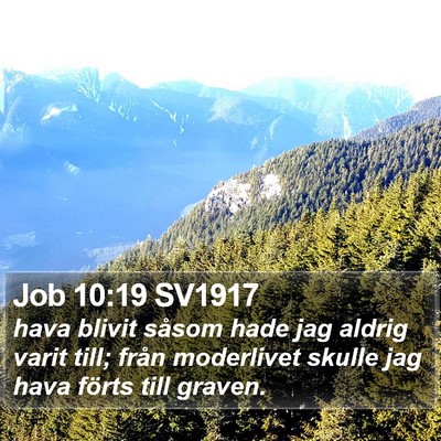 Job 10:19 SV1917 Bible Verse Image