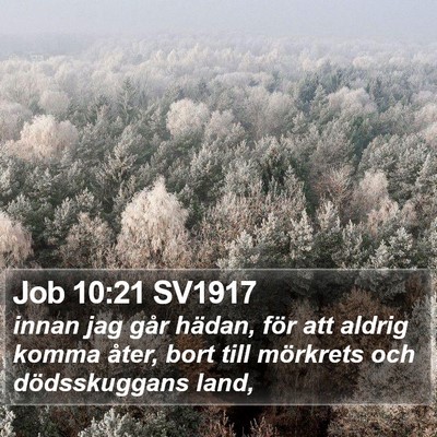 Job 10:21 SV1917 Bible Verse Image