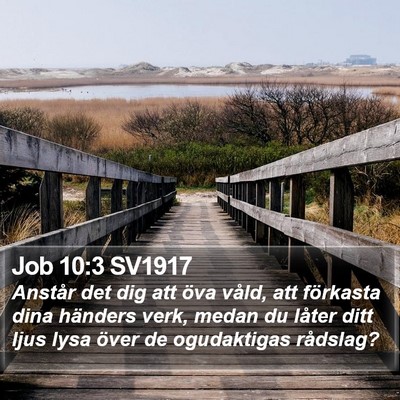 Job 10:3 SV1917 Bible Verse Image