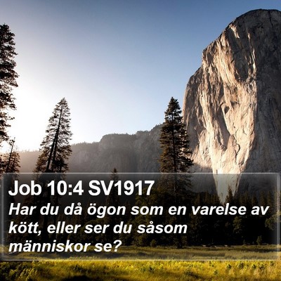 Job 10:4 SV1917 Bible Verse Image