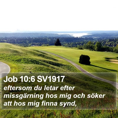 Job 10:6 SV1917 Bible Verse Image