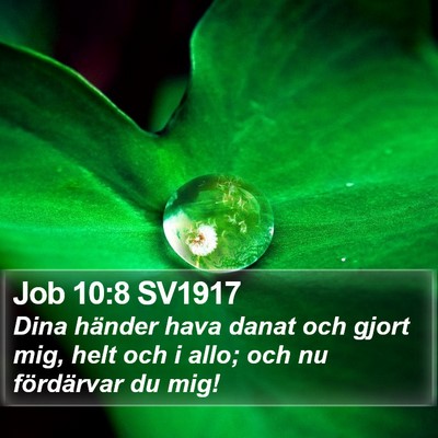 Job 10:8 SV1917 Bible Verse Image