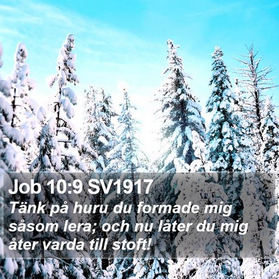 Job 10:9 SV1917 Bible Verse Image