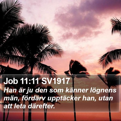 Job 11:11 SV1917 Bible Verse Image