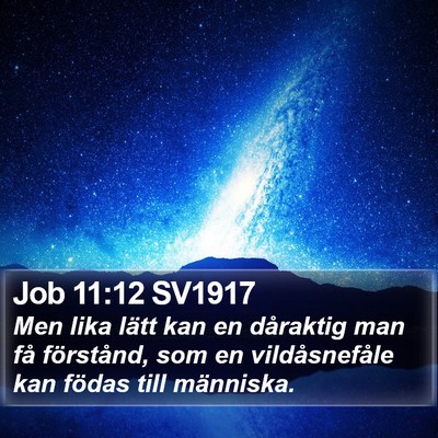 Job 11:12 SV1917 Bible Verse Image