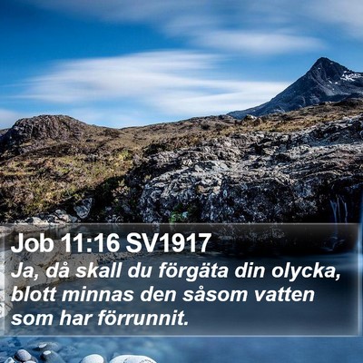 Job 11:16 SV1917 Bible Verse Image