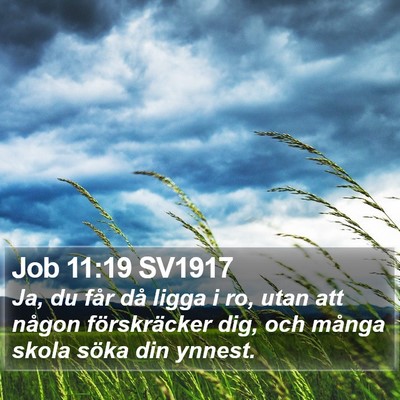 Job 11:19 SV1917 Bible Verse Image