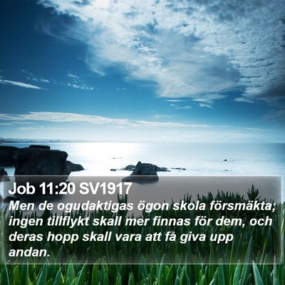 Job 11:20 SV1917 Bible Verse Image
