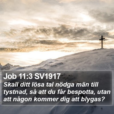 Job 11:3 SV1917 Bible Verse Image