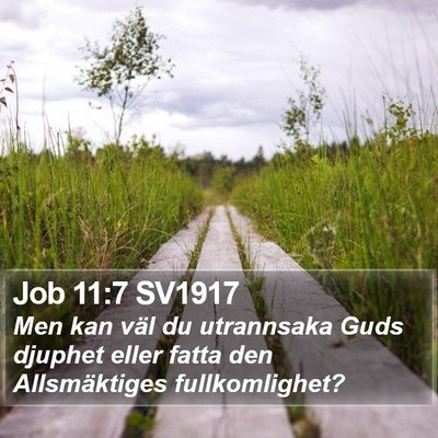 Job 11:7 SV1917 Bible Verse Image