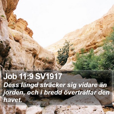 Job 11:9 SV1917 Bible Verse Image