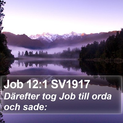 Job 12:1 SV1917 Bible Verse Image