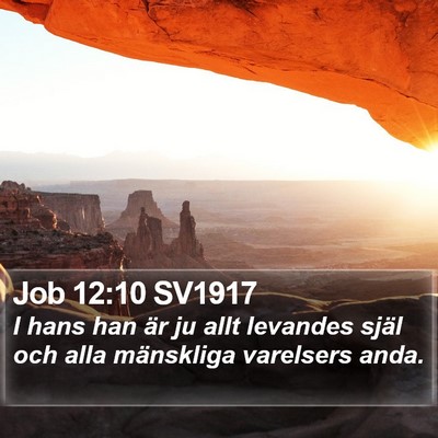 Job 12:10 SV1917 Bible Verse Image
