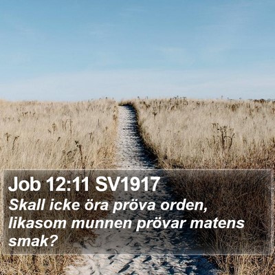 Job 12:11 SV1917 Bible Verse Image