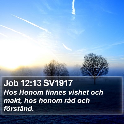 Job 12:13 SV1917 Bible Verse Image