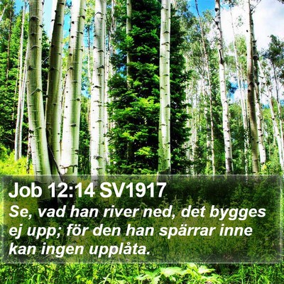 Job 12:14 SV1917 Bible Verse Image