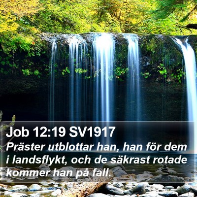 Job 12:19 SV1917 Bible Verse Image